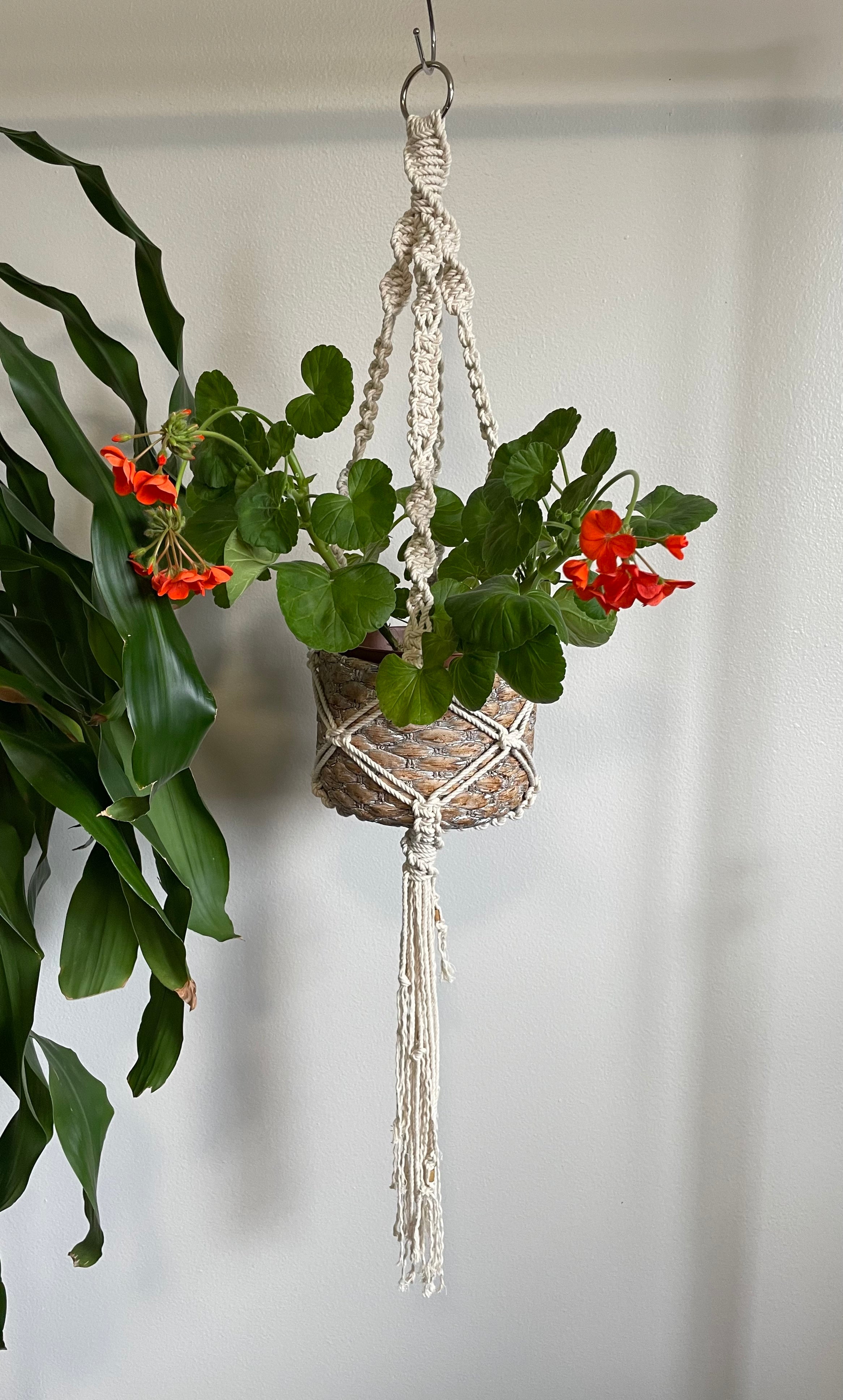 medium macrame plant hanger Medium Macramé Plant Hanger – theposiepatch