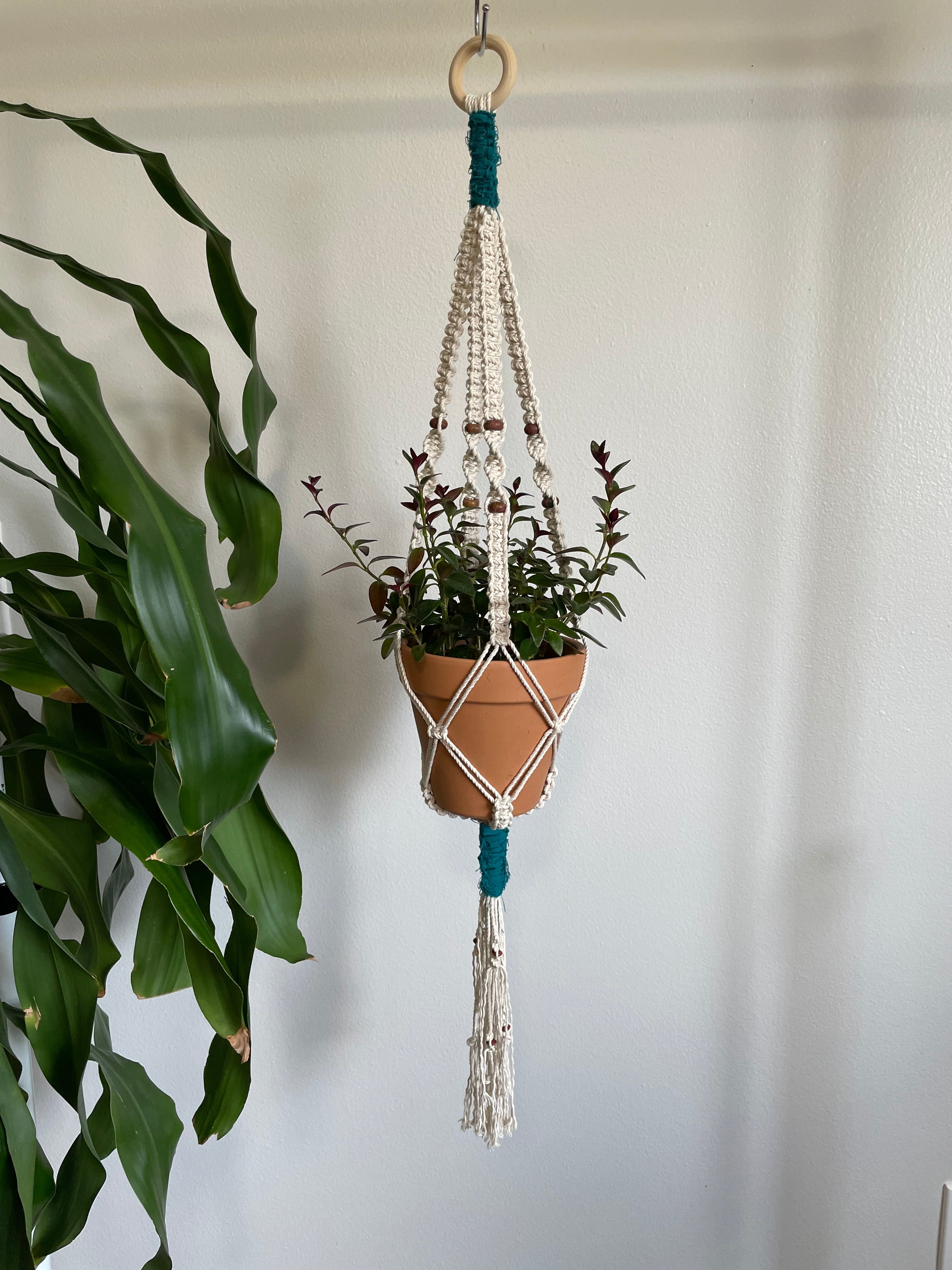 Small Macramé Plant Hanger - Summer Jewels