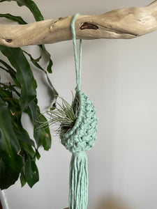 Macramé Air Plant Pod