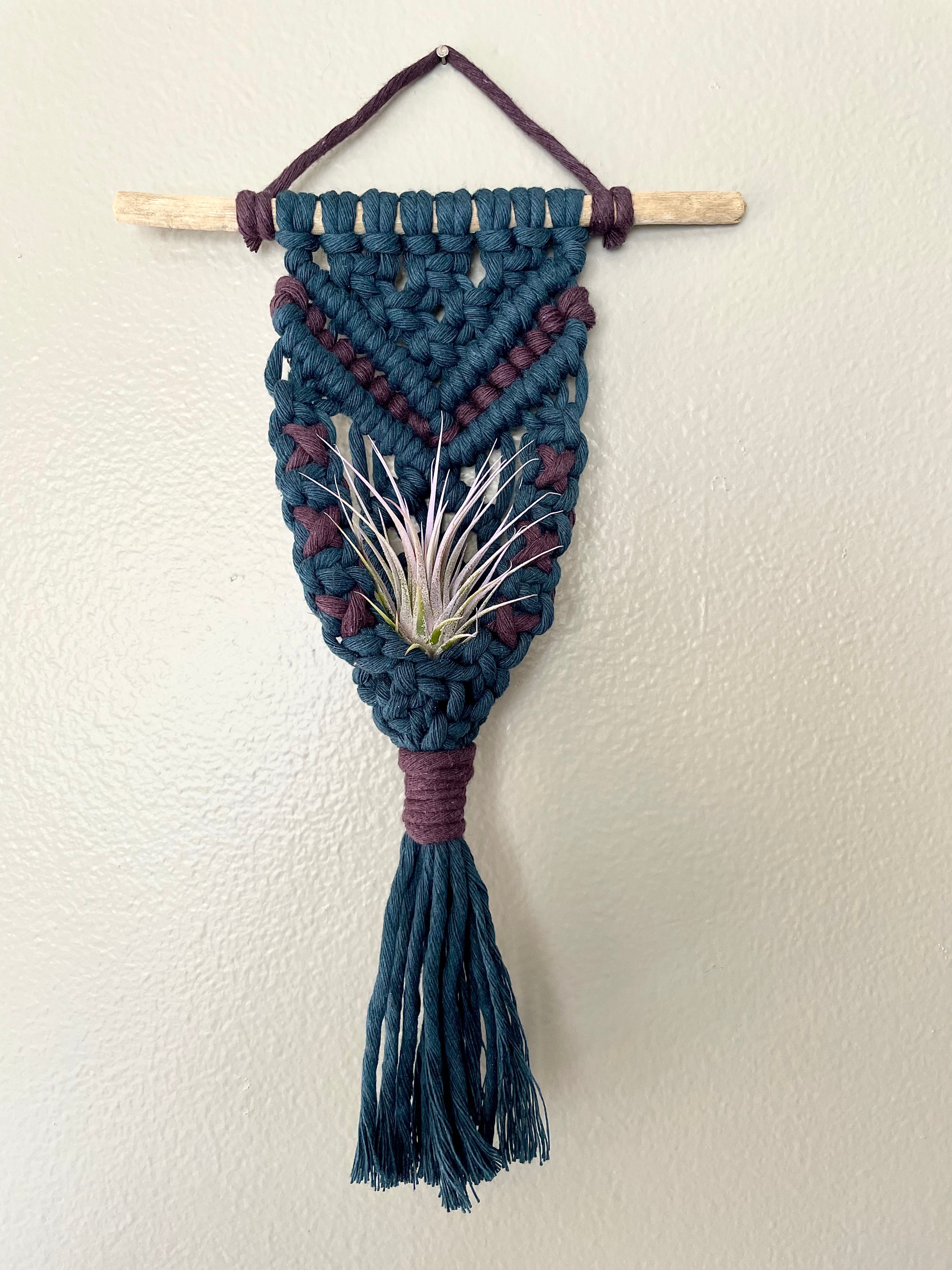 Macramé Air Plant Hanger - Zoe