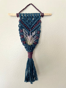 Macramé Air Plant Hanger - Zoe