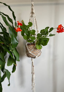 Medium Macramé Plant Hanger