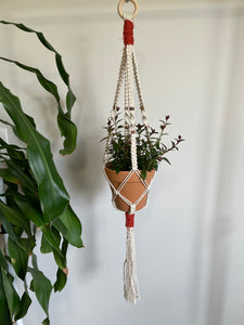 Small Macramé Plant Hanger - Summer Jewels