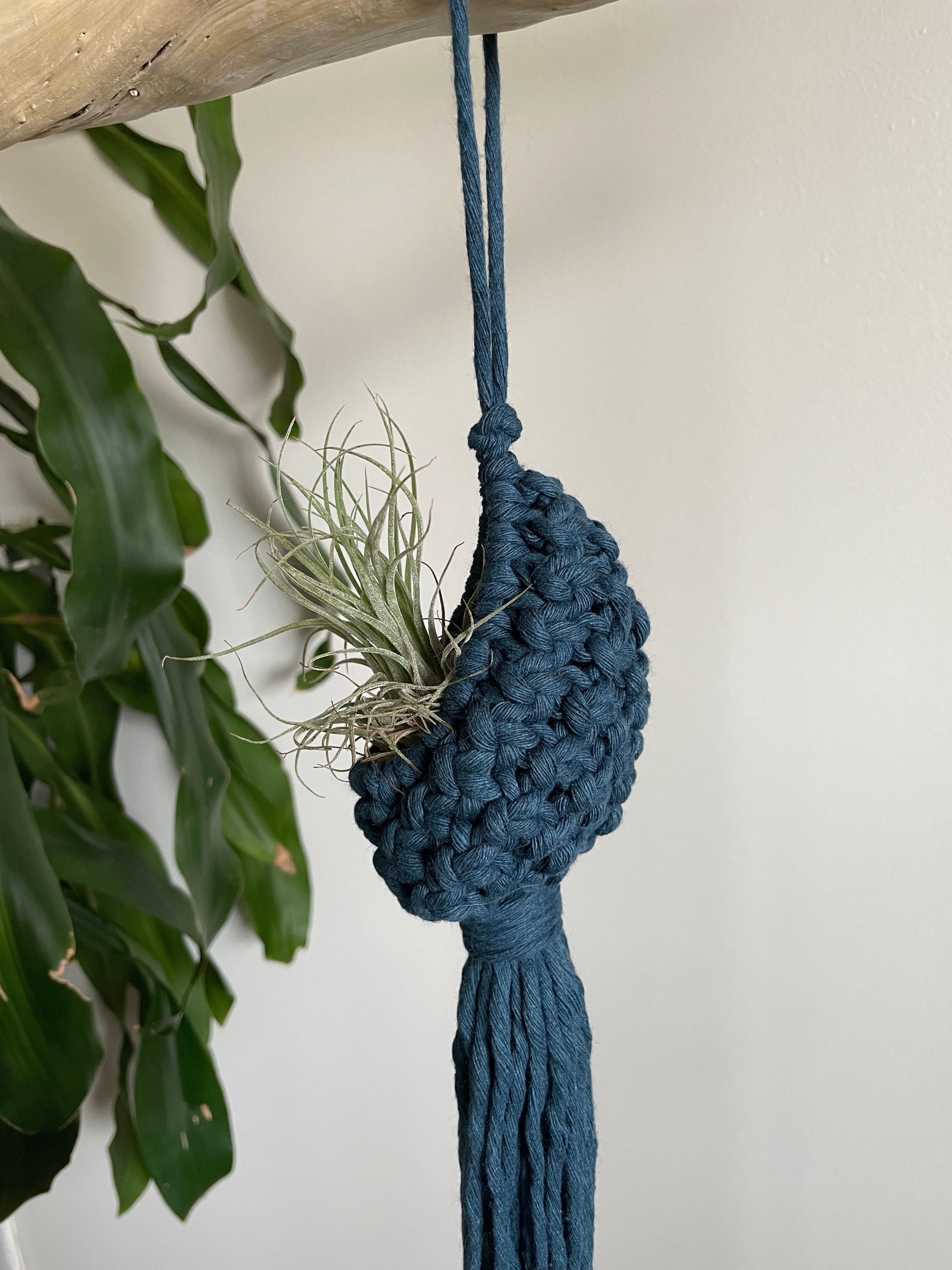air plant macrame Macramé Air Plant Pod – theposiepatch