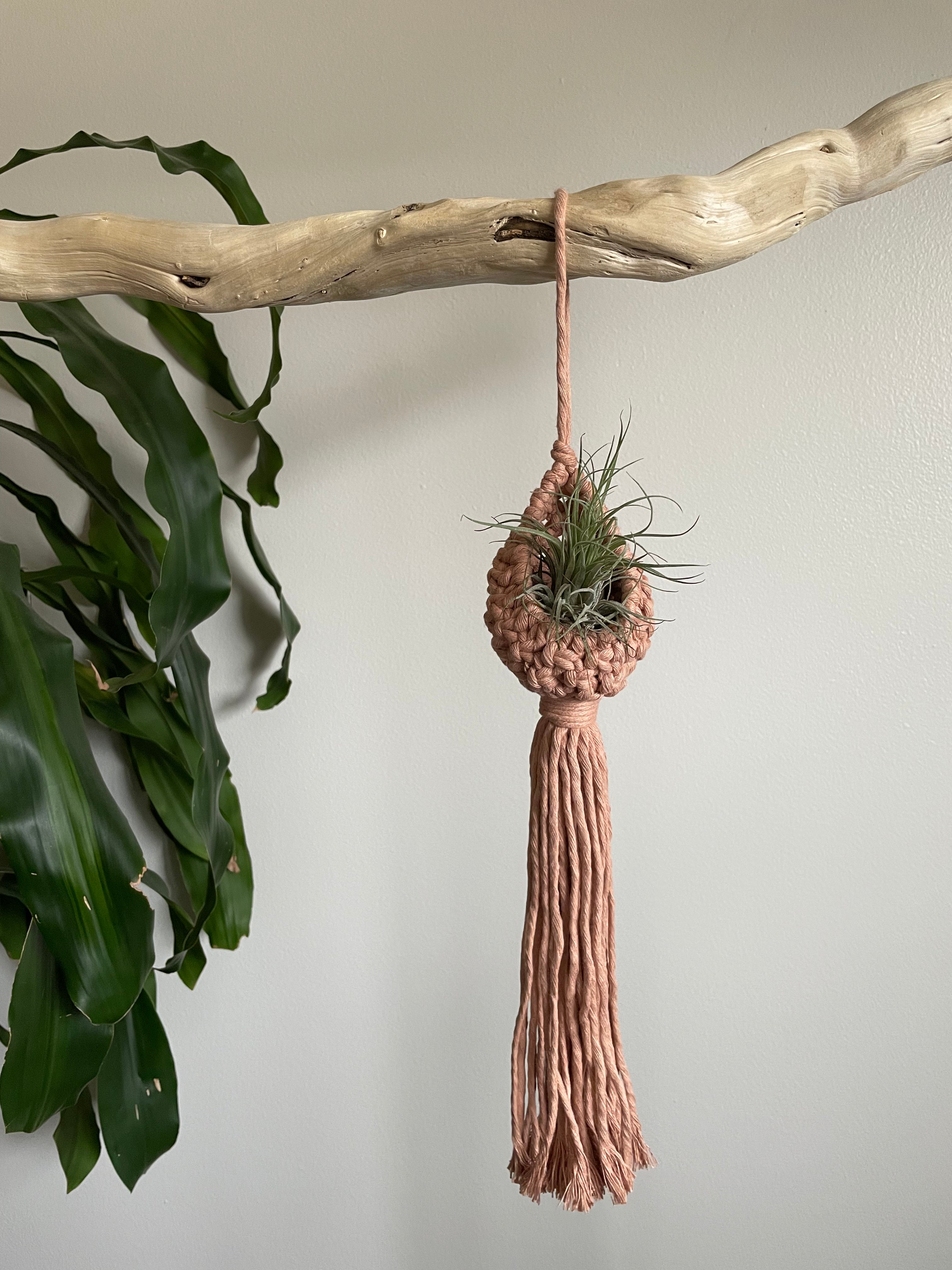 air plant pod Macramé Air Plant Pod – theposiepatch