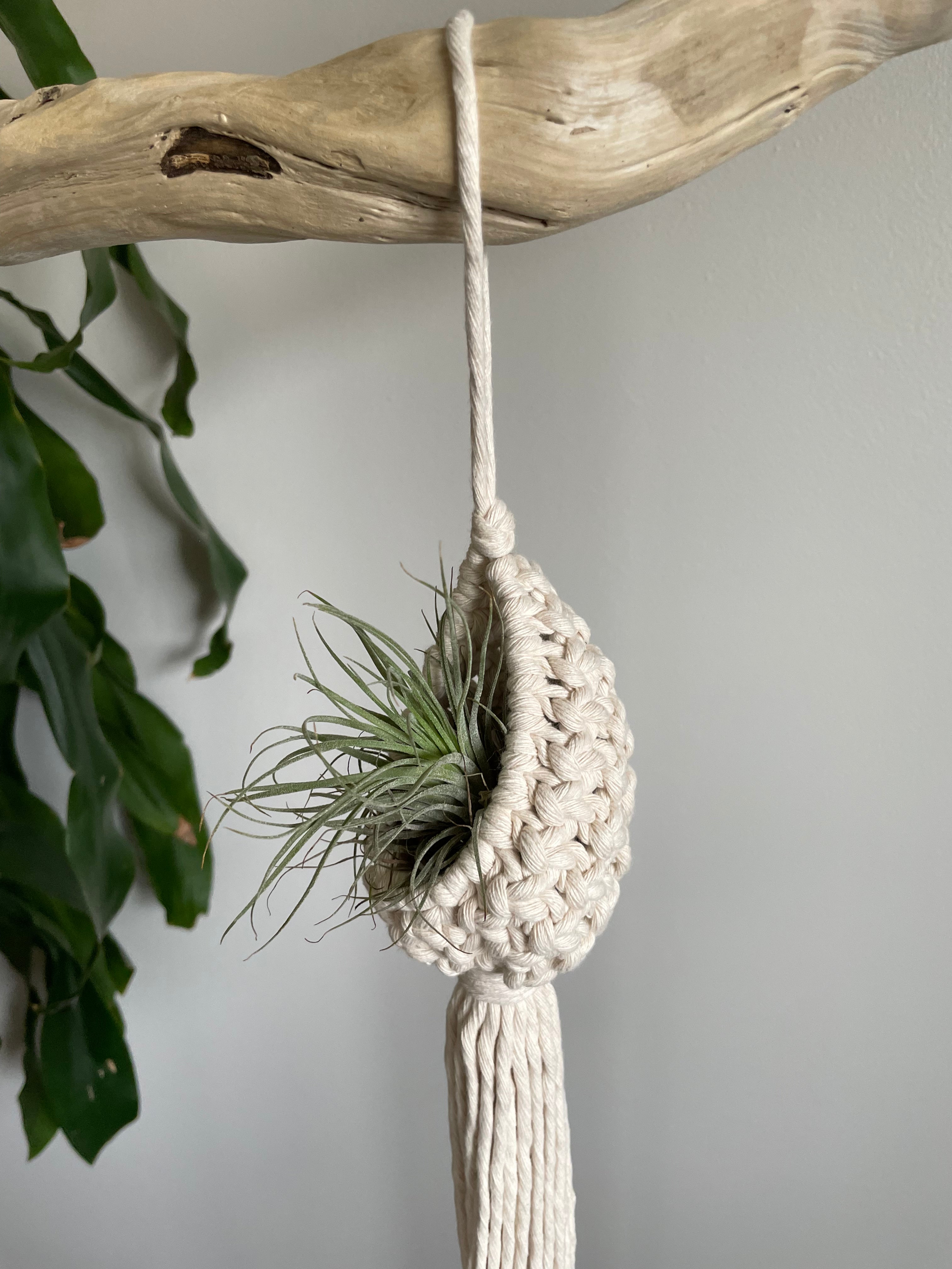 macrame air plant Macramé Air Plant Pod – theposiepatch