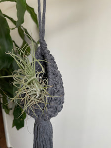 Macramé Air Plant Pod
